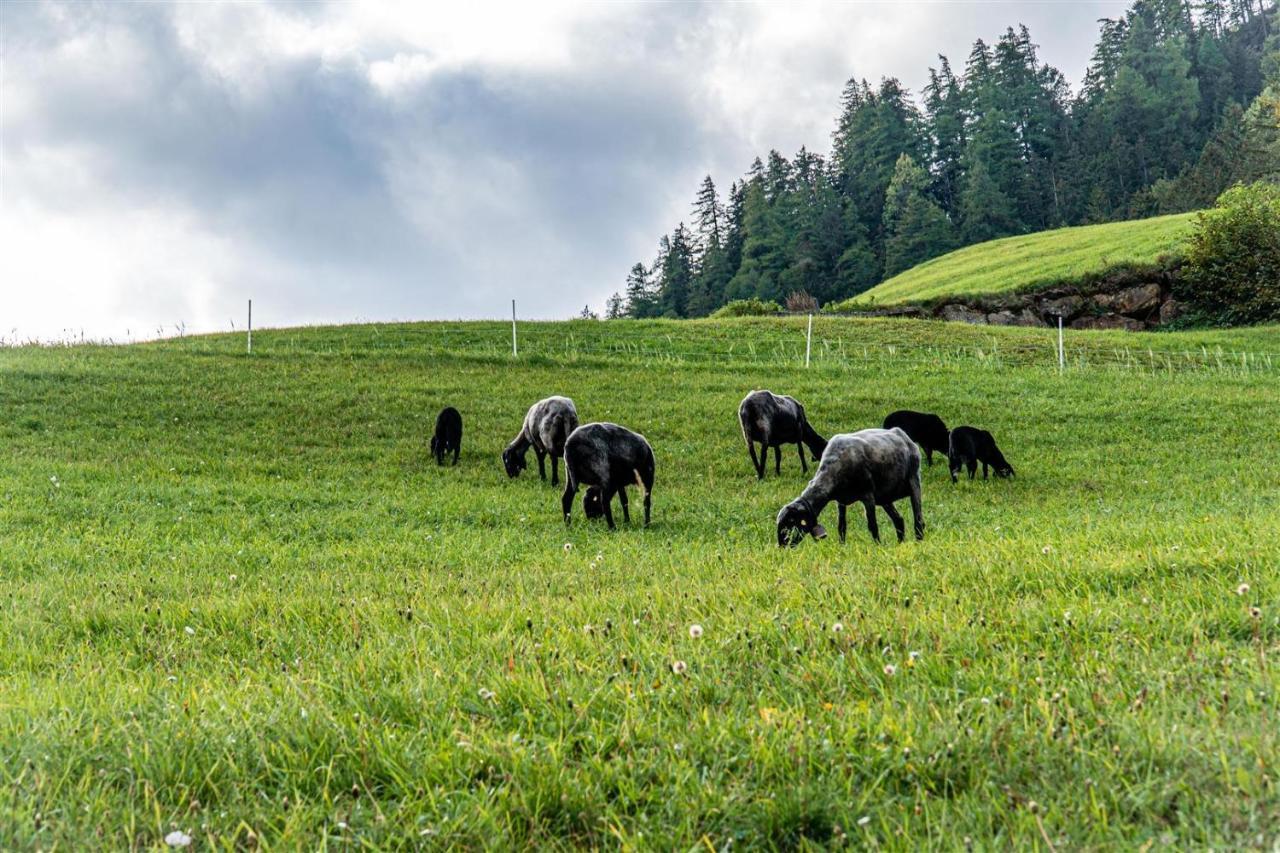 Zoeschgenhof Daire Matrei in Osttirol Dış mekan fotoğraf